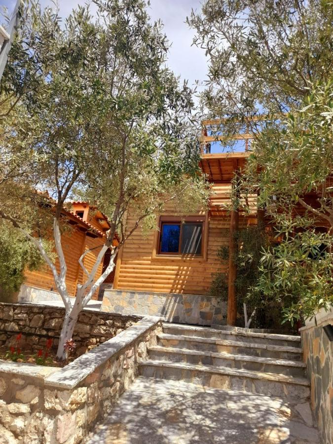 Villa Skenderi Σαράντα Εξωτερικό φωτογραφία